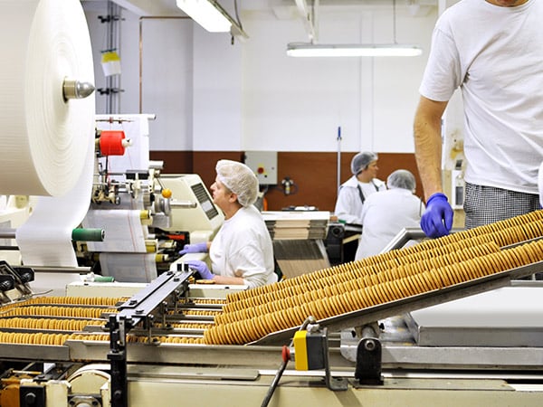Molle-a-tazza-compressione-per-imbalalggio-elettrodomestici-e-industria-alimentare